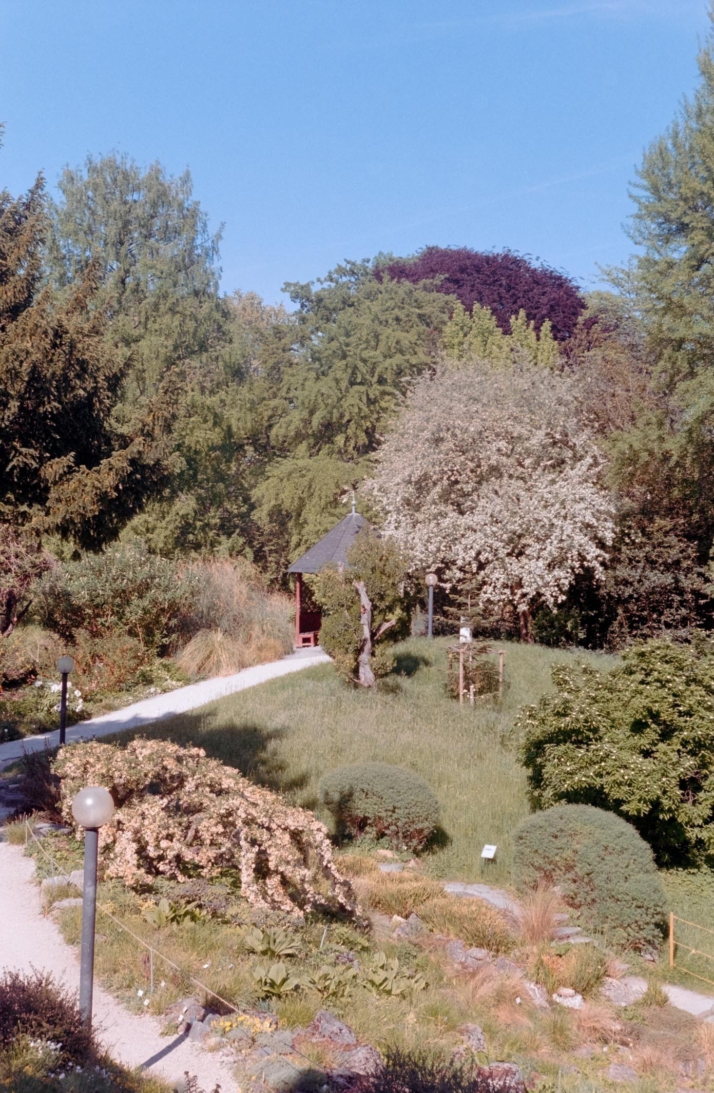 A peaceful garden scene features a small gazebo surrounded by lush greenery, trees, and a winding gravel path.
