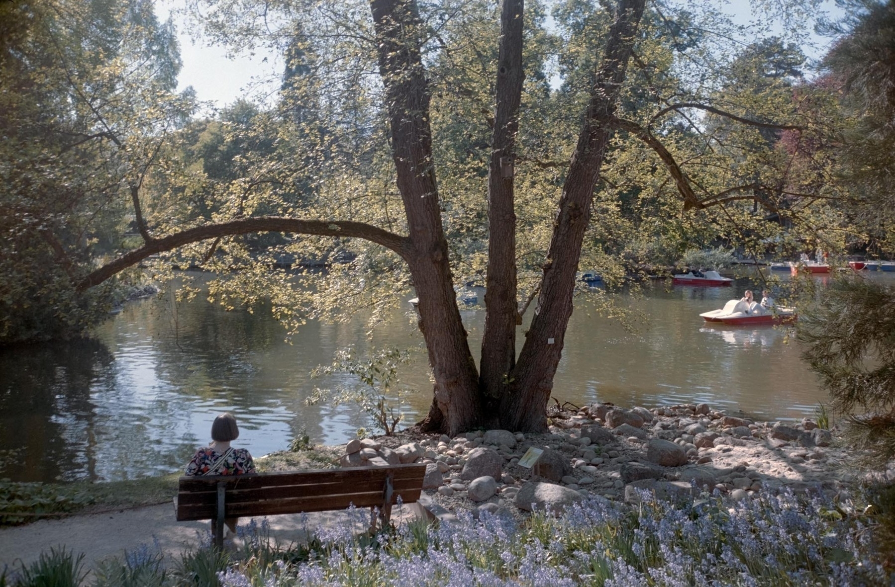 A person sits on a bench by a riverside, with trees and a boat in the background.